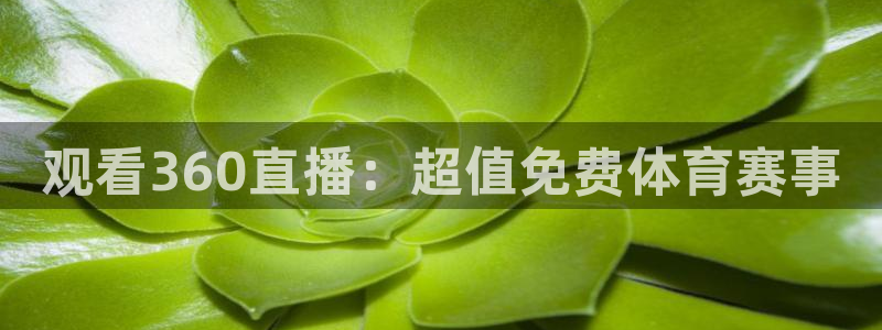黑白直播体育在线观看