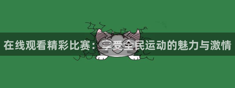 黑白直播体育篮球