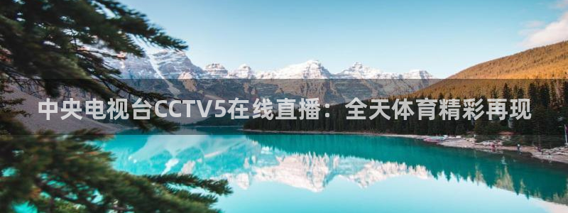 黑白直播nba免费观看篮球下载