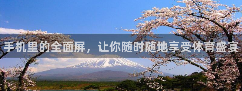 黑白直播免费体育直播nba