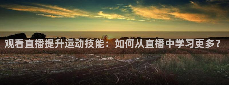 体育新闻