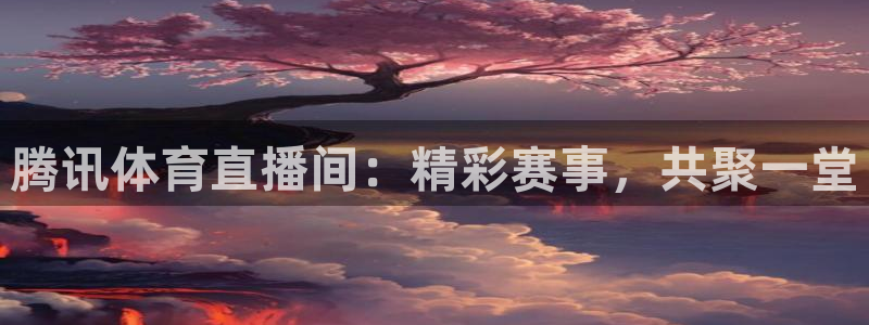 体育新闻