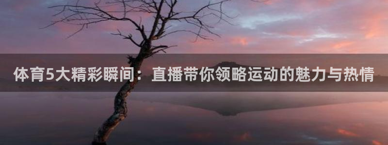 体育新闻
